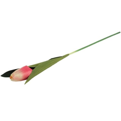 TULIPAN 45 CM kremowo różowy