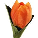 TULIPAN 45 CM pomarańczowy