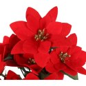 Bukiet 12 POINSECJI 42 cm KOLOR CZERWONY