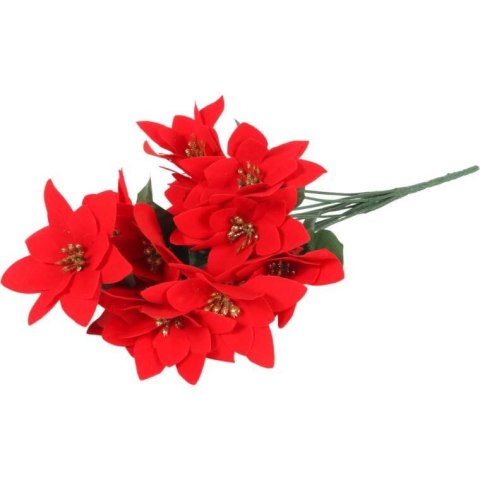 Bukiet 12 POINSECJI 42 cm KOLOR CZERWONY