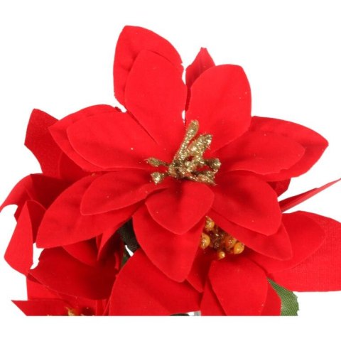 Bukiet 5 POINSECJI WELUROWYCH 32 cm KOLOR CZERWONY