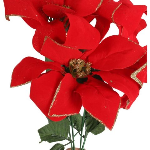 Bukiet 5 POINSECJI WELUROWYCH 56 cm KOLOR CZERWONY