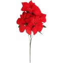 Bukiet 5 dużych POINSECJI WELUROWYCH 55 cm KOLOR CZERWONY