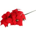 Bukiet 5 dużych POINSECJI WELUROWYCH 55 cm KOLOR CZERWONY