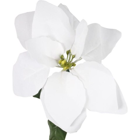 Kwiat pojedynczy Gwiazda Betlejemska Poinsecja 64 cm BIAŁA