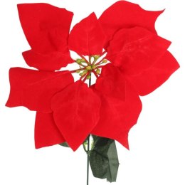 Kwiat pojedynczy Gwiazda Betlejemska Poinsecja 64 cm CZERWONA