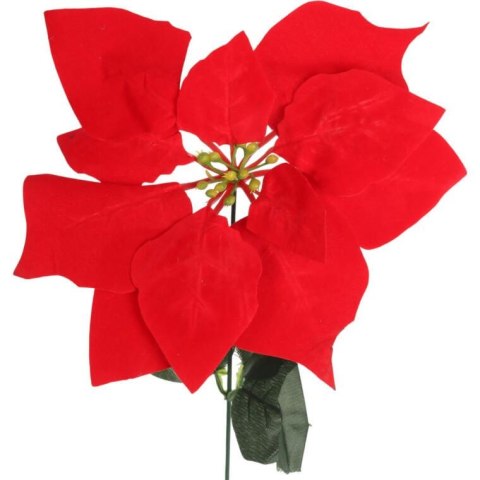 Kwiat pojedynczy Gwiazda Betlejemska Poinsecja 64 cm CZERWONA