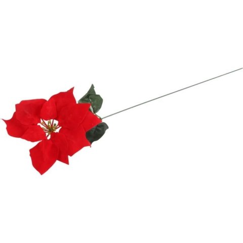 Kwiat pojedynczy Gwiazda Betlejemska Poinsecja 64 cm CZERWONA